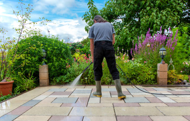 Best Brick and Stone Cleaning in Ely, NV