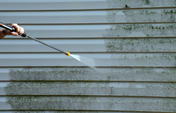 Best Fence Cleaning and Maintenance in Ely, NV